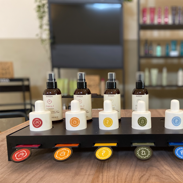 Chakra-Aveda